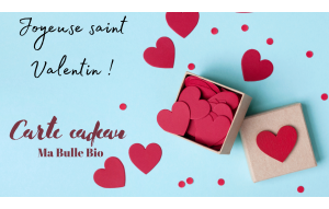 
			                        			Saint-Valentin02